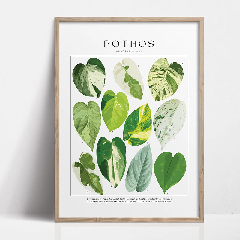 1pc Modern Houseplants Leaves  - Home Office Youtube recension och pris
